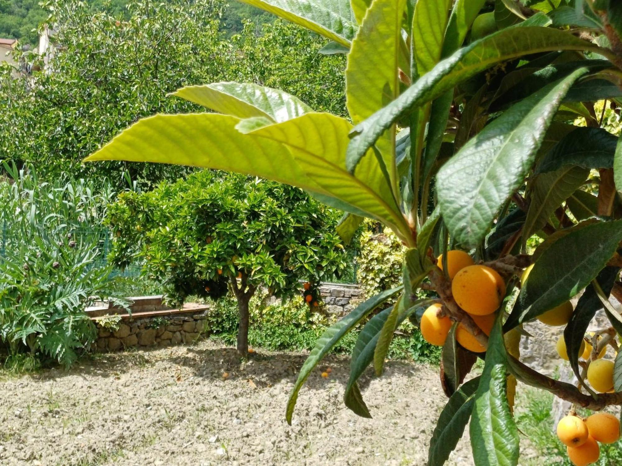 Country House B&B Antica Dimora Del Sole Camerota Zewnętrze zdjęcie